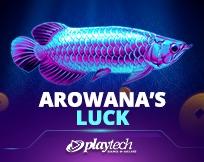 Arowana`s Luck